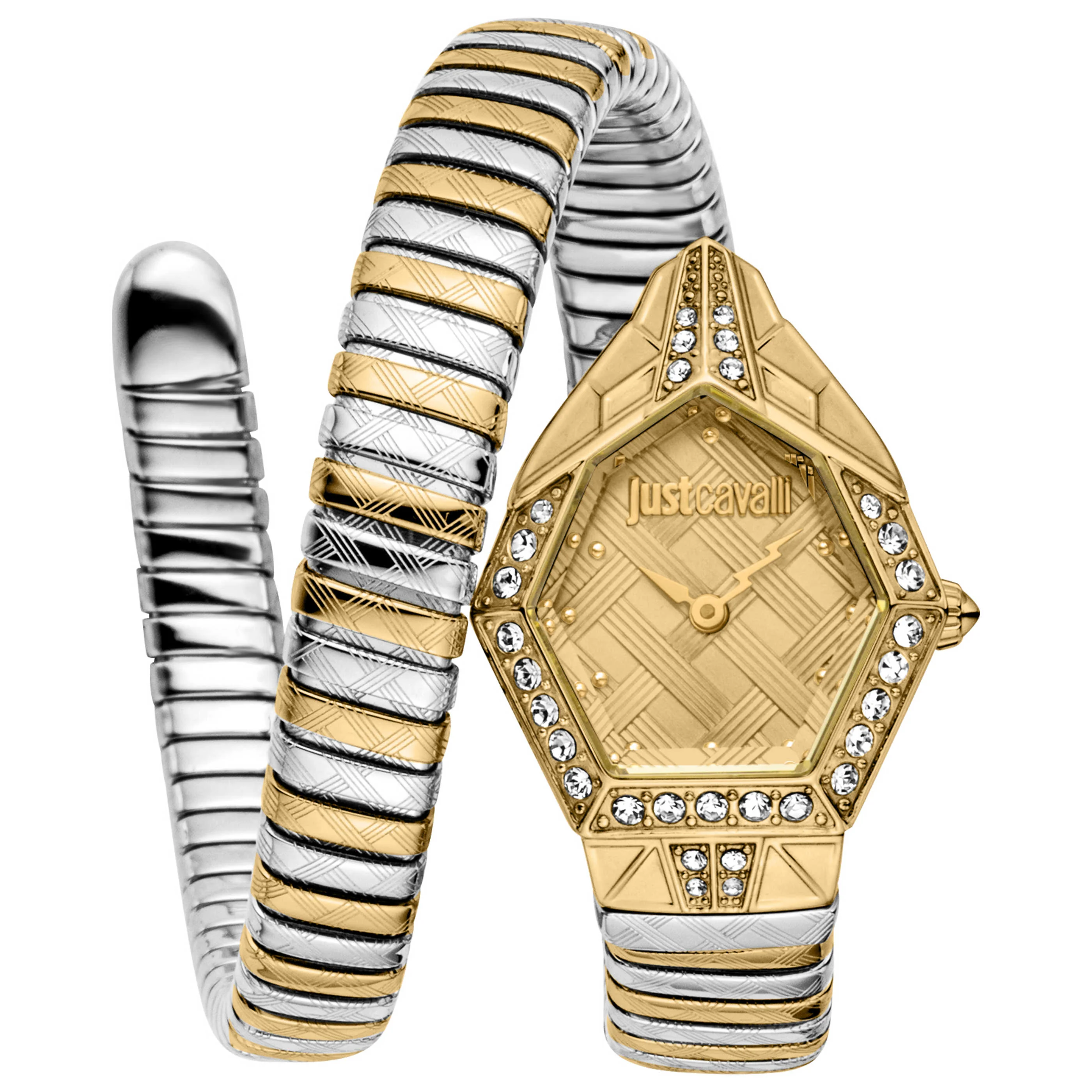 Just Cavalli Women's Watch JC1L303M0055
