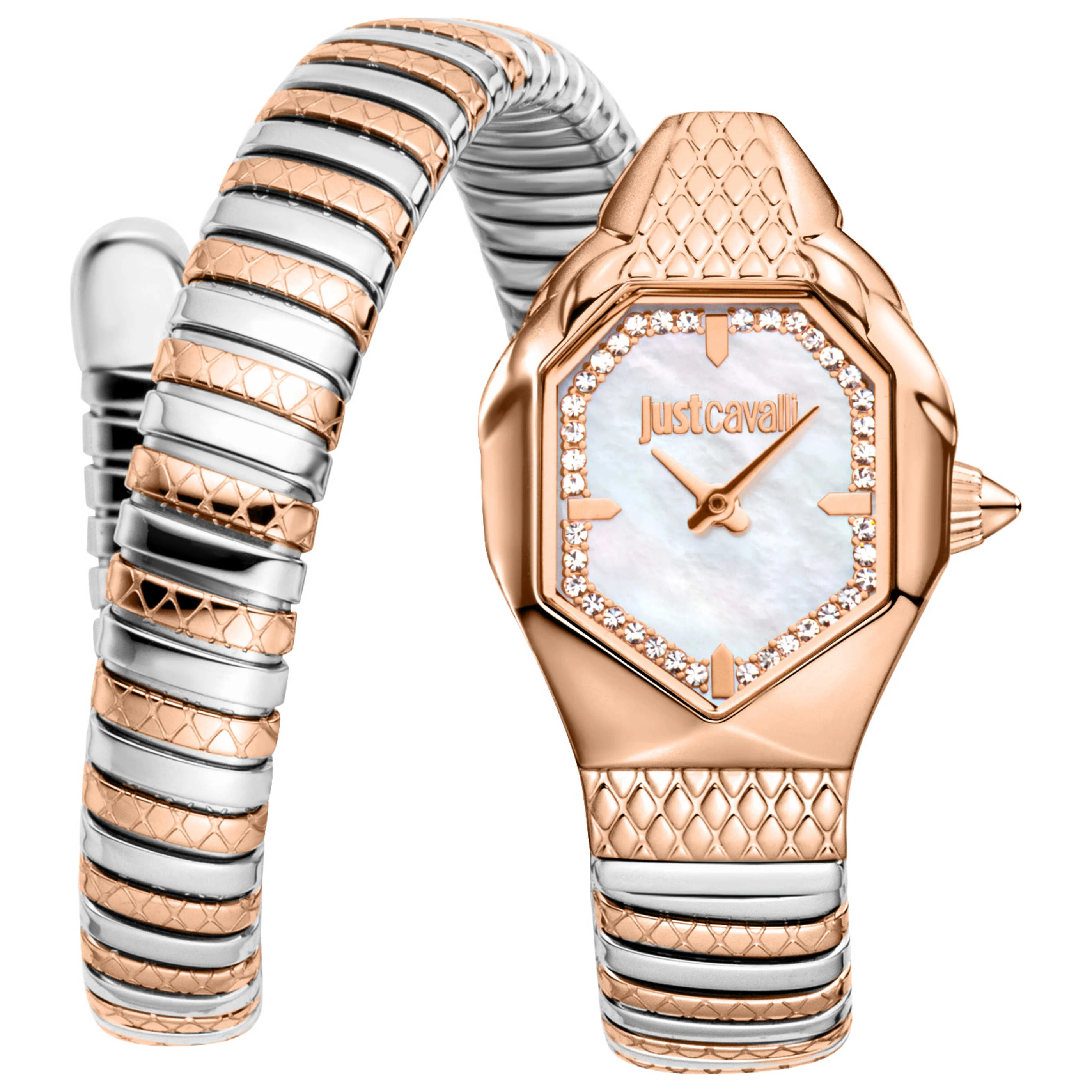 Just Cavalli Women's Watch JC1L369M0075